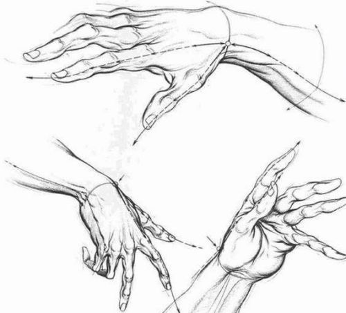 素描手部的塑造方法 素描